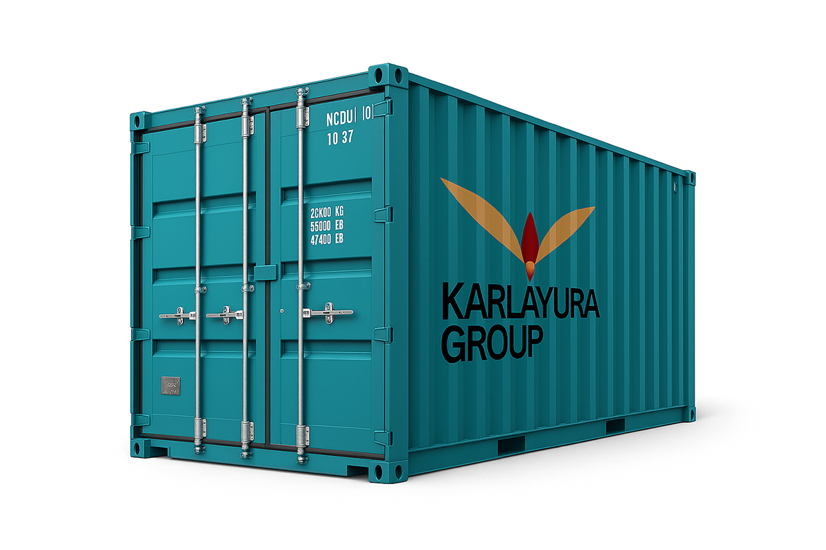 10ft standard sea container