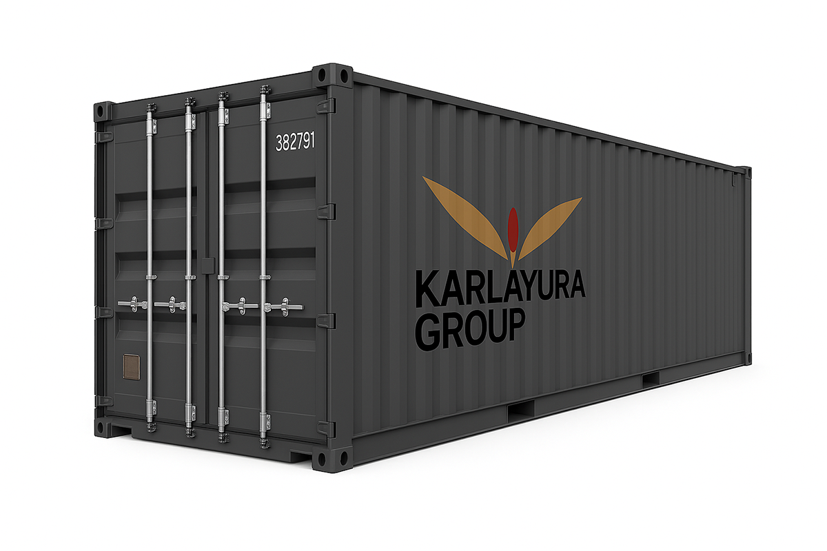 20ft Refurbished sea container