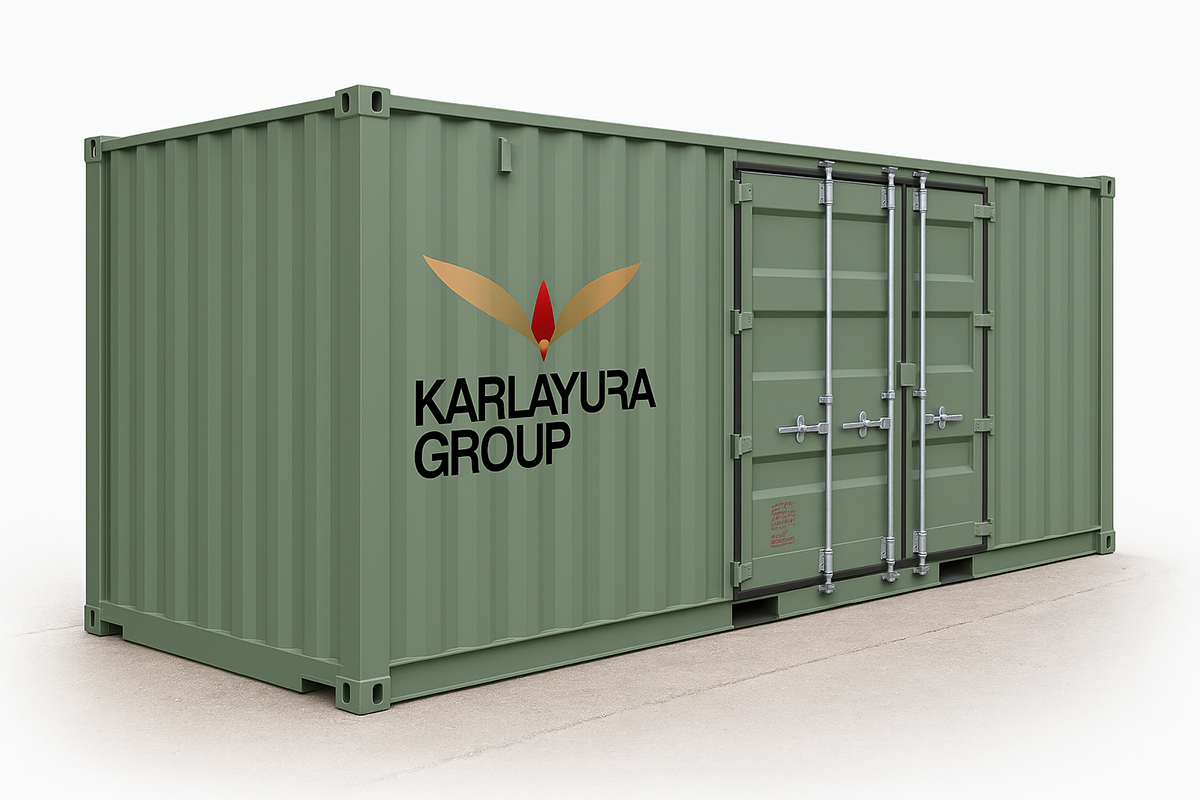 20ft & 40ft Modified original side door sea container