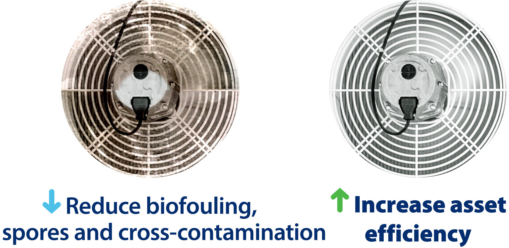 Fan before & after treatment & cleaning
