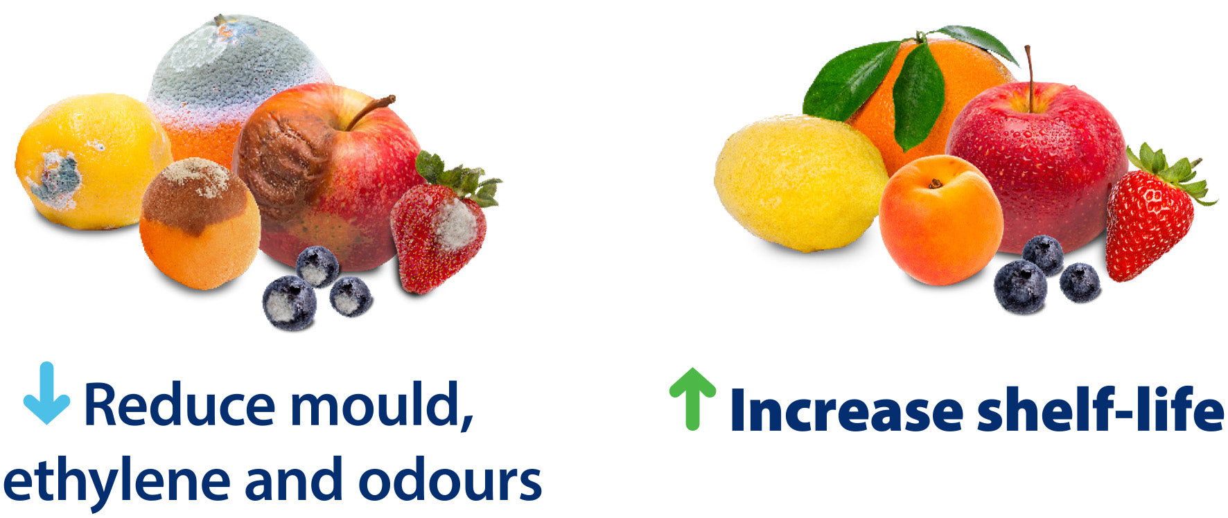 Fruit treated & untreated